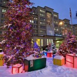 LE ROI DES FORÊTS REPREND SA PLACE DEVANT LE CHU SAINTE-JUSTINE